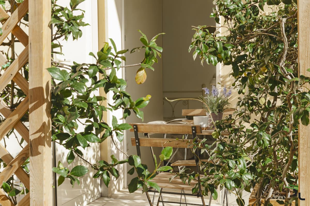 A wooden chair and table set in a sunlit room with a wooden lattice structure and green foliage.