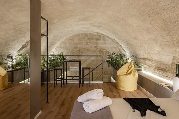 Suite Deluxe | 1 camera, copriletto in piuma, minibar, una scrivania