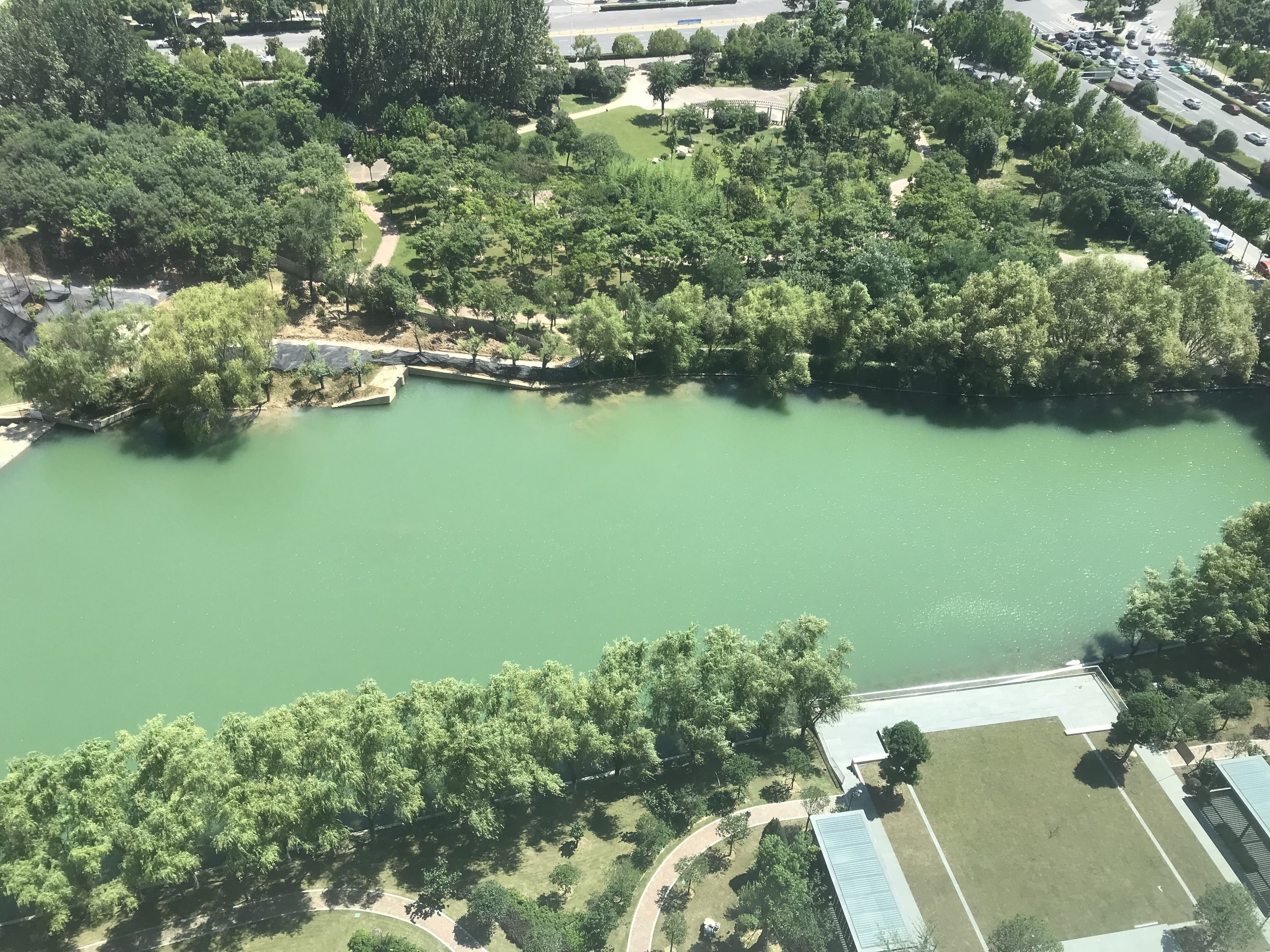 An aerial view of a park with a large pond, surrounded by trees and pathways.