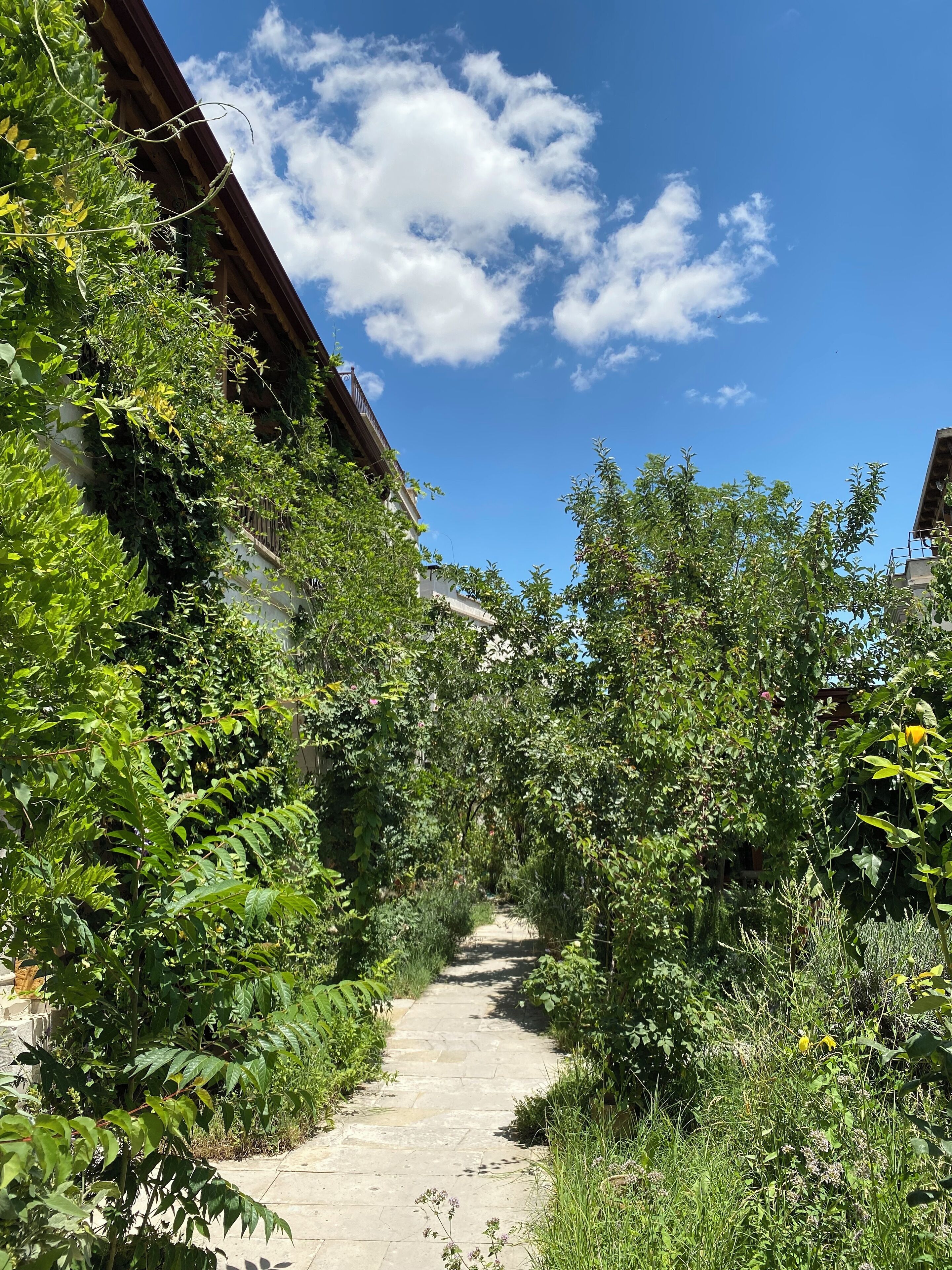 Photo - Kemal's Guest House