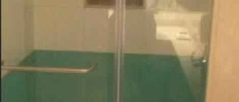 A glass-enclosed shower stall with a handrail, a small window, and a visible towel rack.