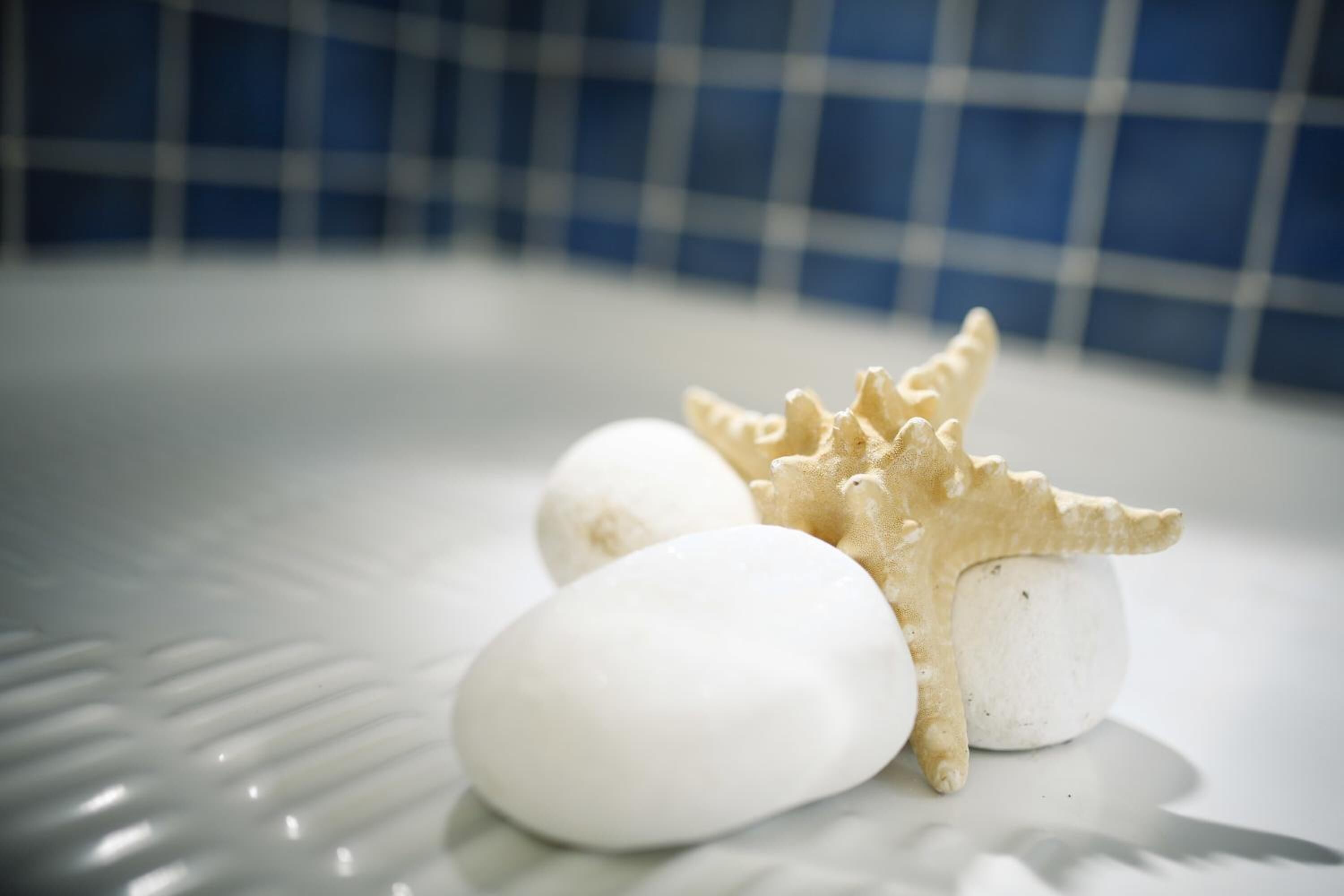 Foto - Kalergis Studios