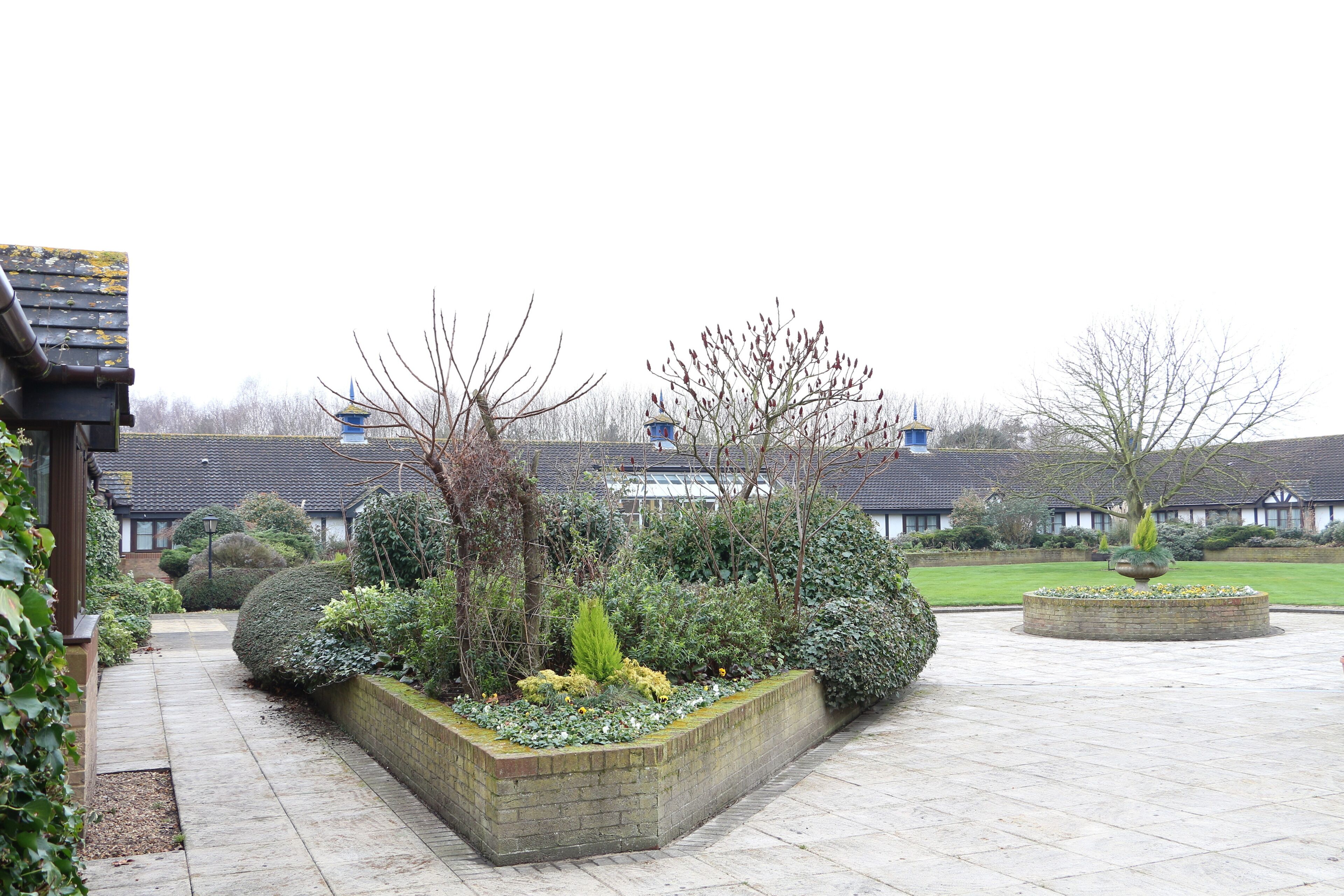 A courtyard with a brick planter, various shrubs, and a lawn.