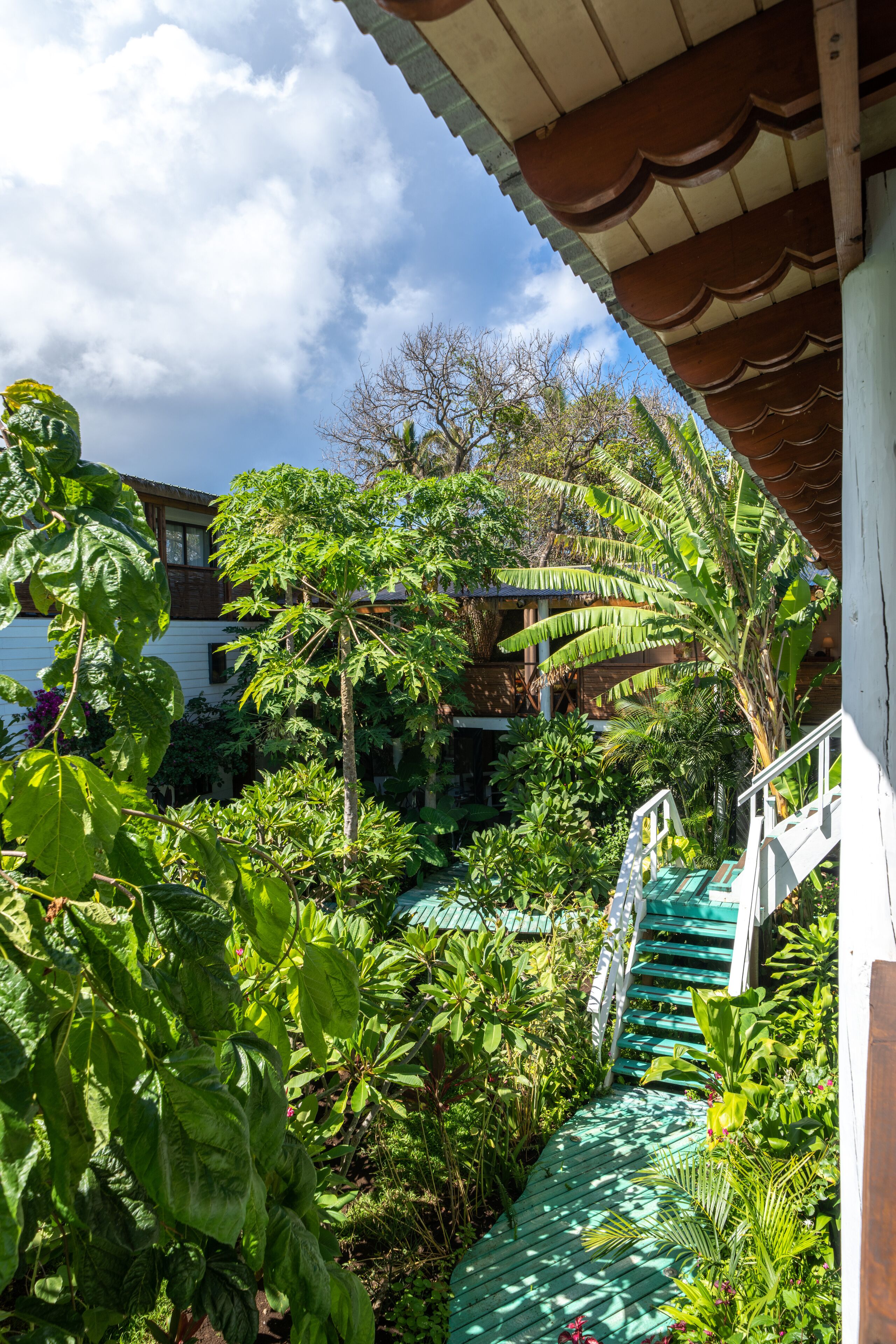 1 bedroom, frette italian sheets, premium bedding, down duvets