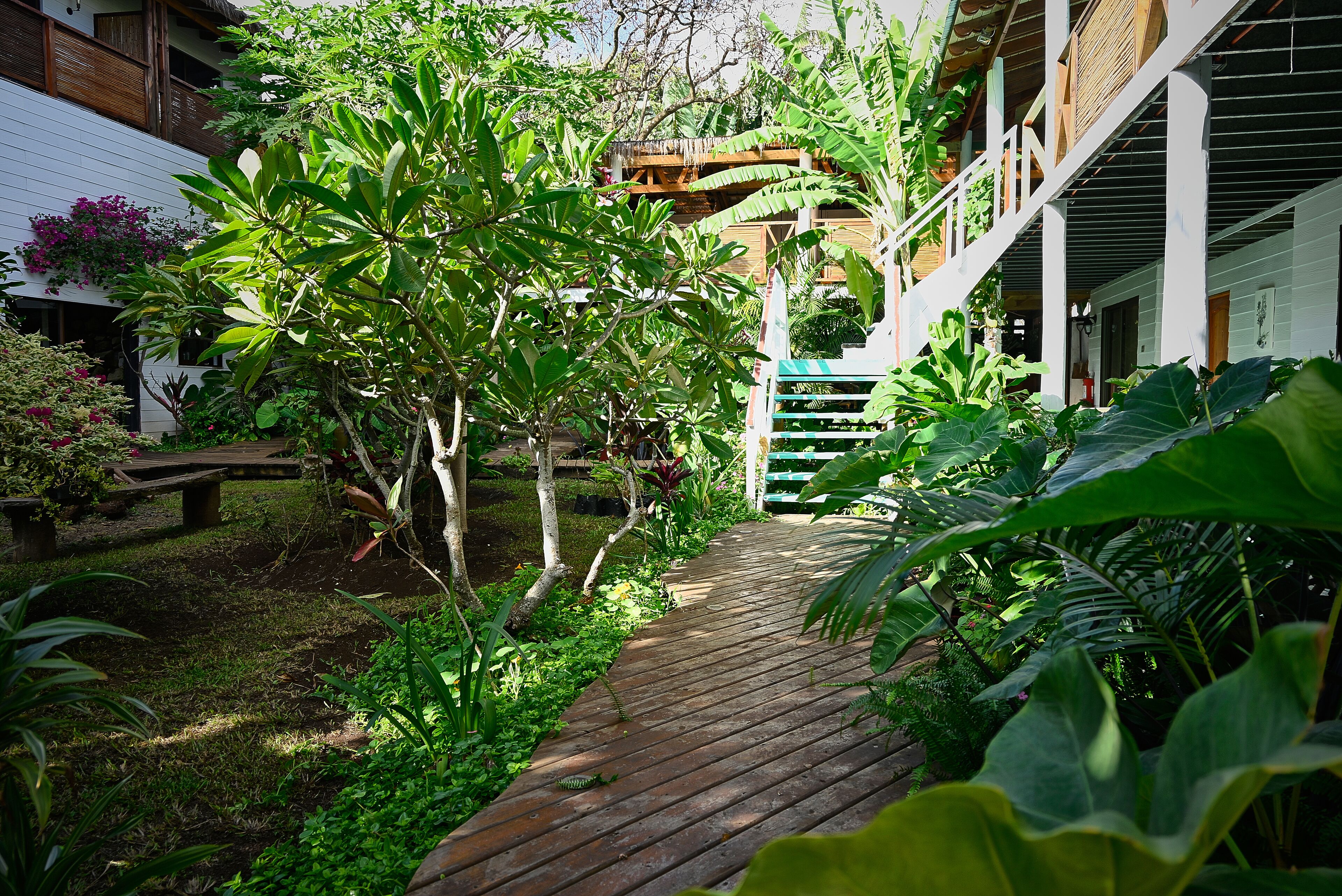 Superior kamer | Italiaanse Frette-lakens, luxe beddengoed, donzen dekbedden