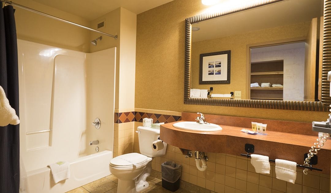 combined shower/bathtub, free toiletries, hair dryer, towels