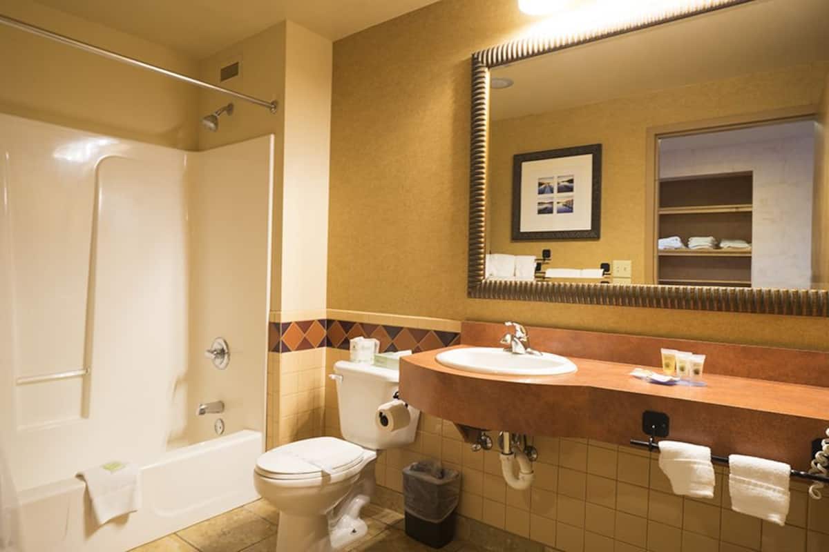 combined shower/bathtub, free toiletries, hair dryer, towels