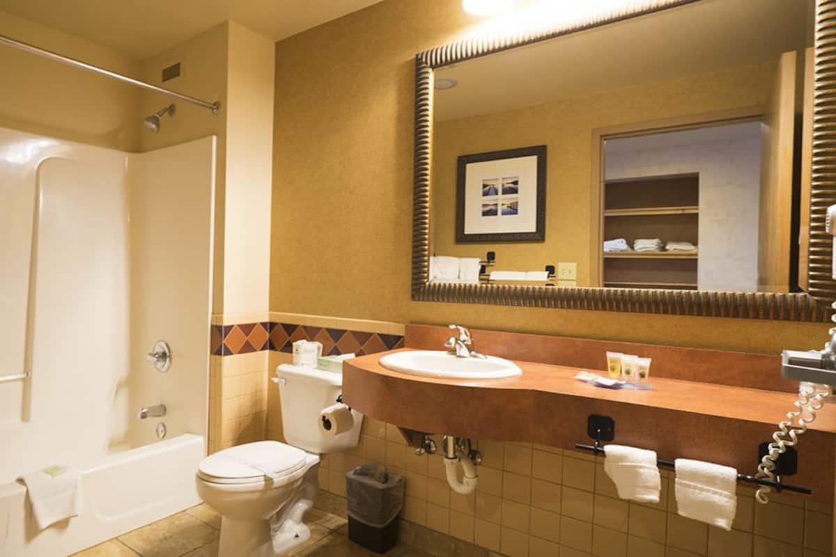 Combined shower/tub, free toiletries, hair dryer, towels