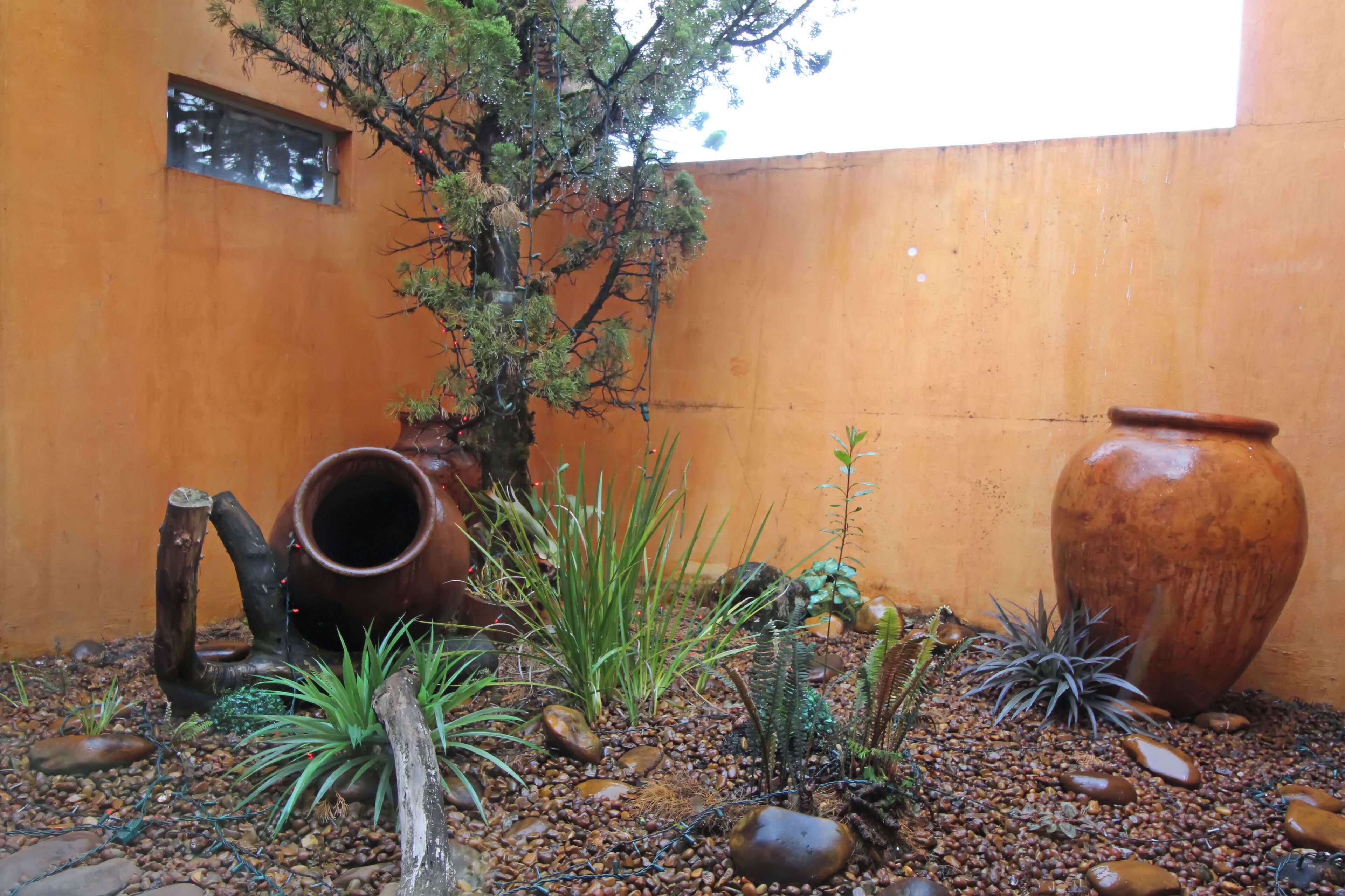 Foto - Pousada Villa Capivary Campos do Jordão