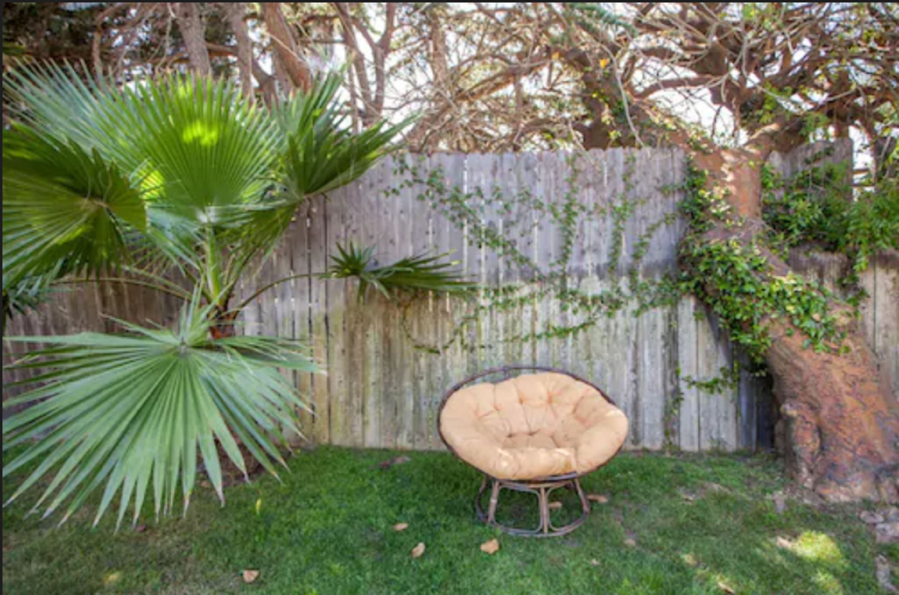 Photo - PodShare Venice