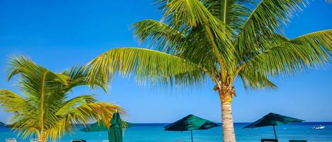 Apartment, 2 Bedrooms | Beach | On the beach, white sand, sun-loungers, beach umbrellas