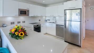 Full-sized fridge, microwave, oven, stovetop