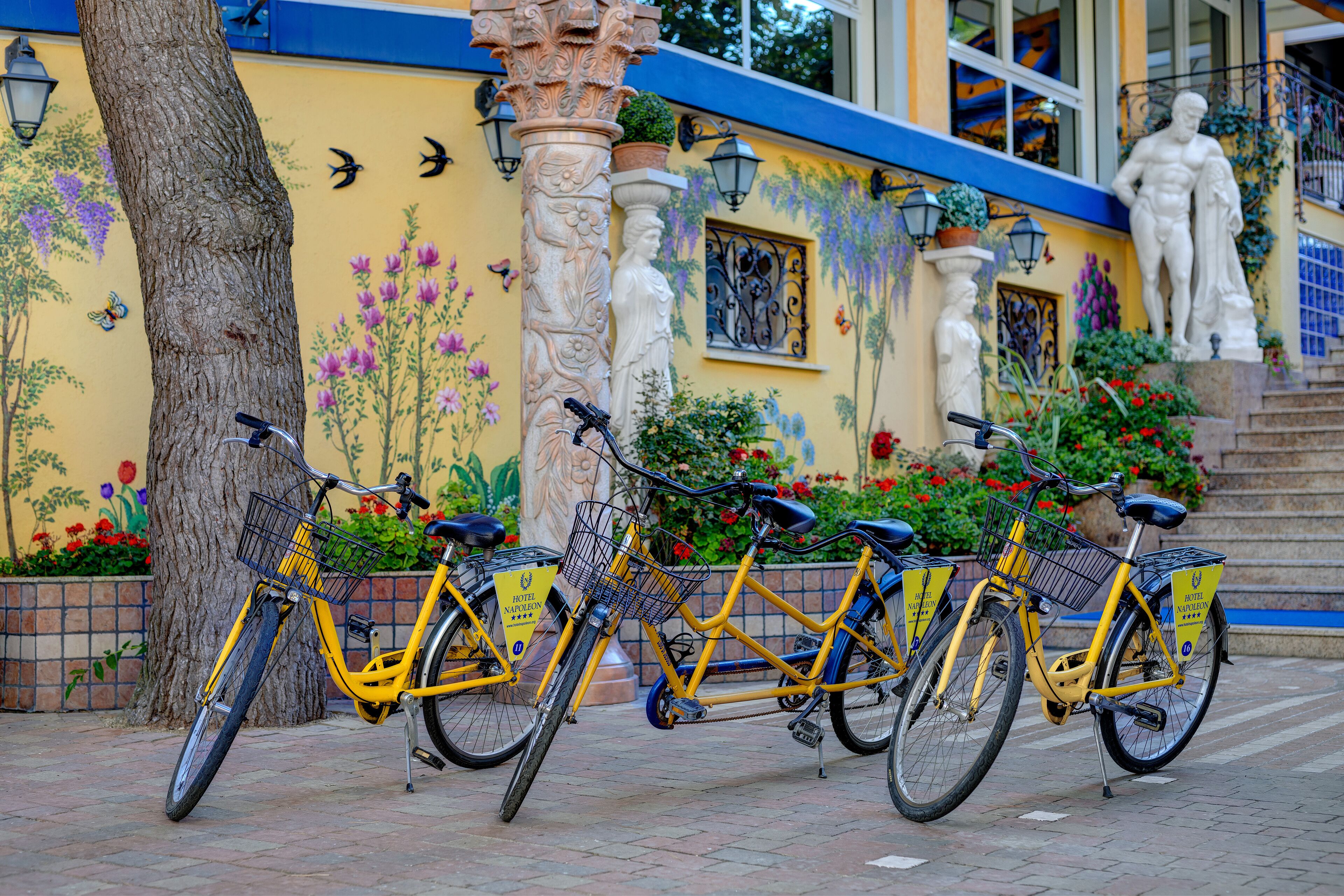 Foto - Hotel Napoleon