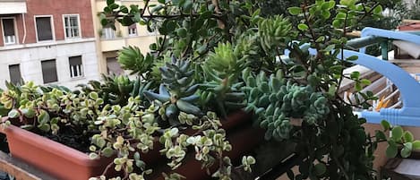 Blick von der Unterkunft