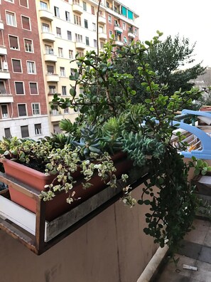 Vista desde la propiedad