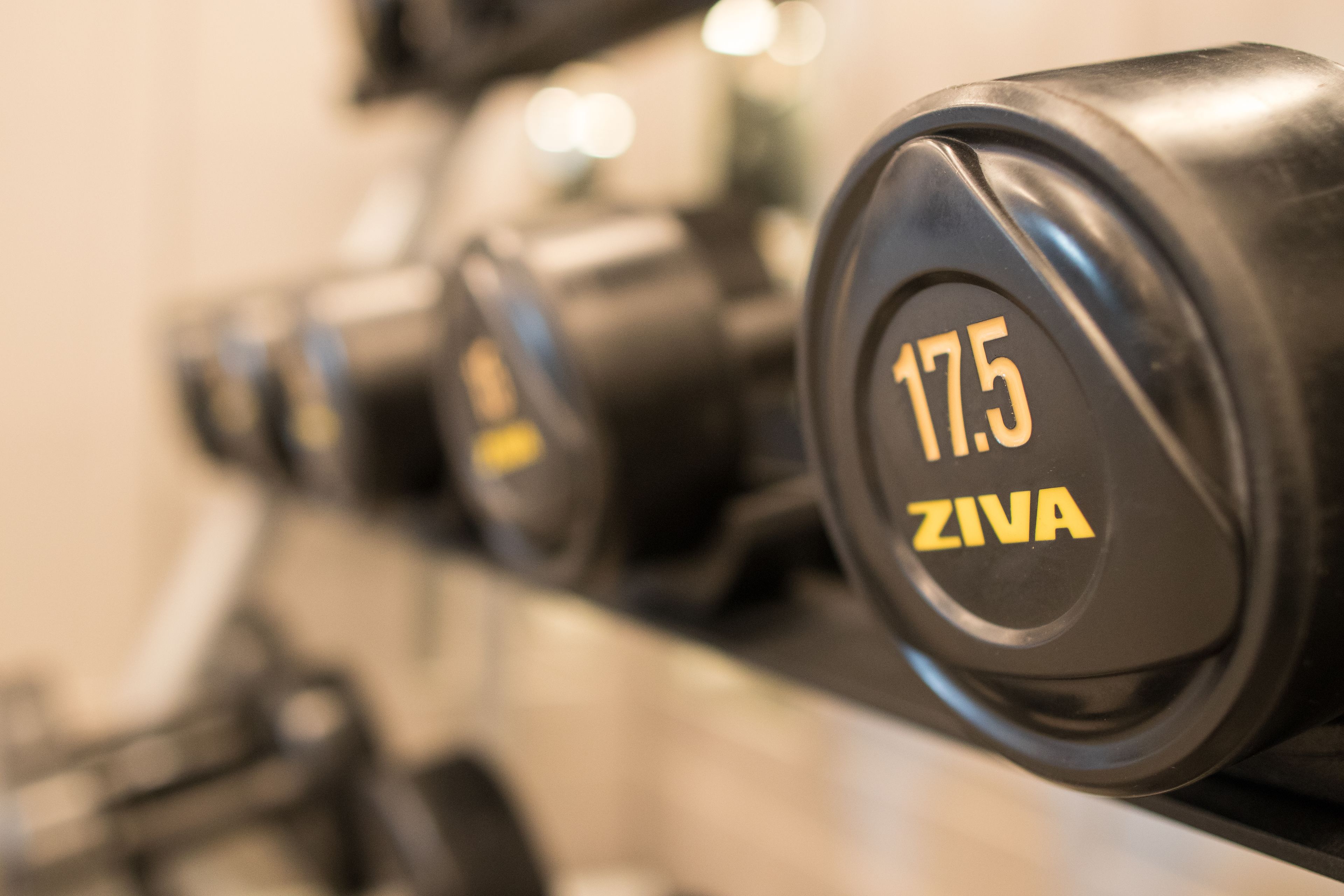 A close-up of a row of dumbbells with weights marked 17.5 ZIVA.