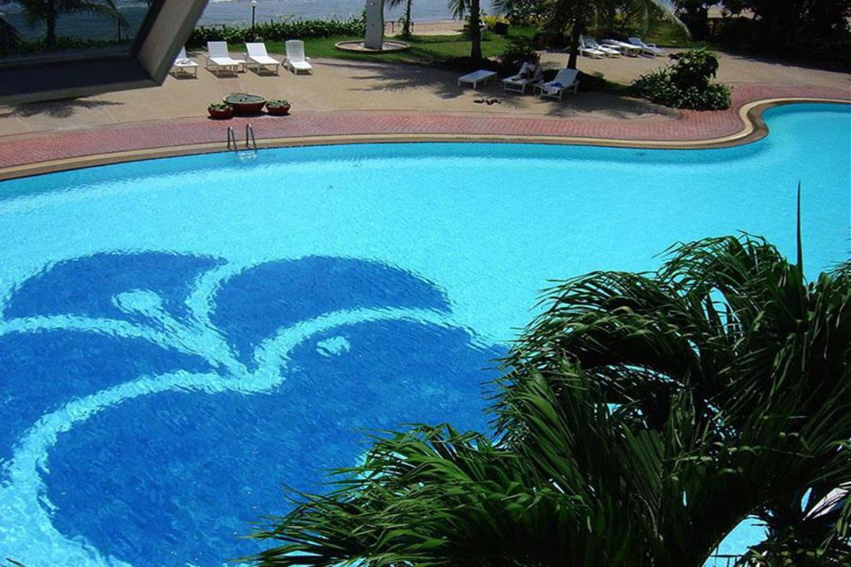 Outdoor pool, pool loungers