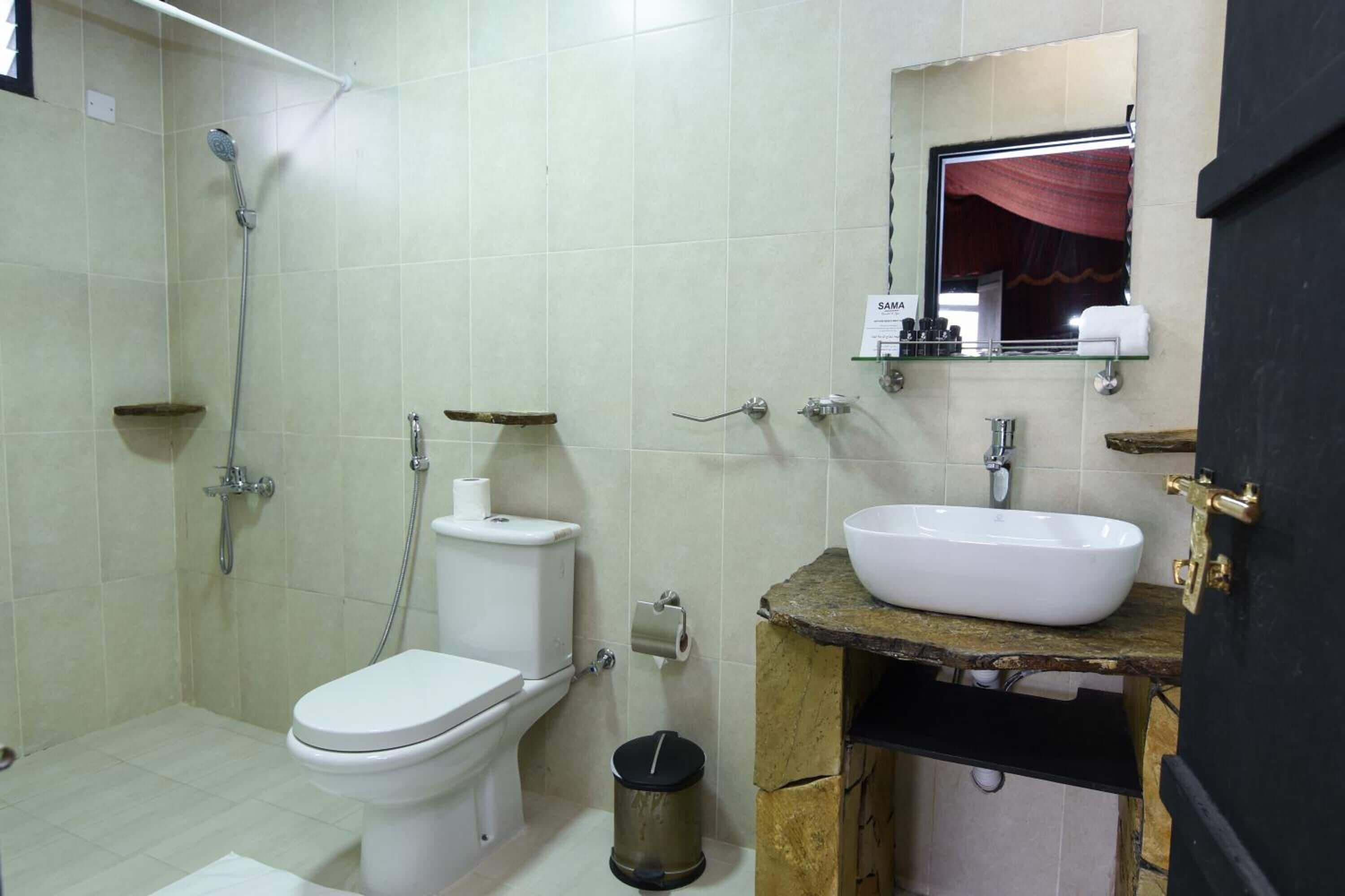 A bathroom with a toilet, shower, sink, and a mirror above the sink.