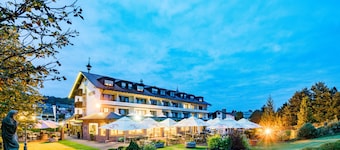 Best Western Hotel Brunnenhof
