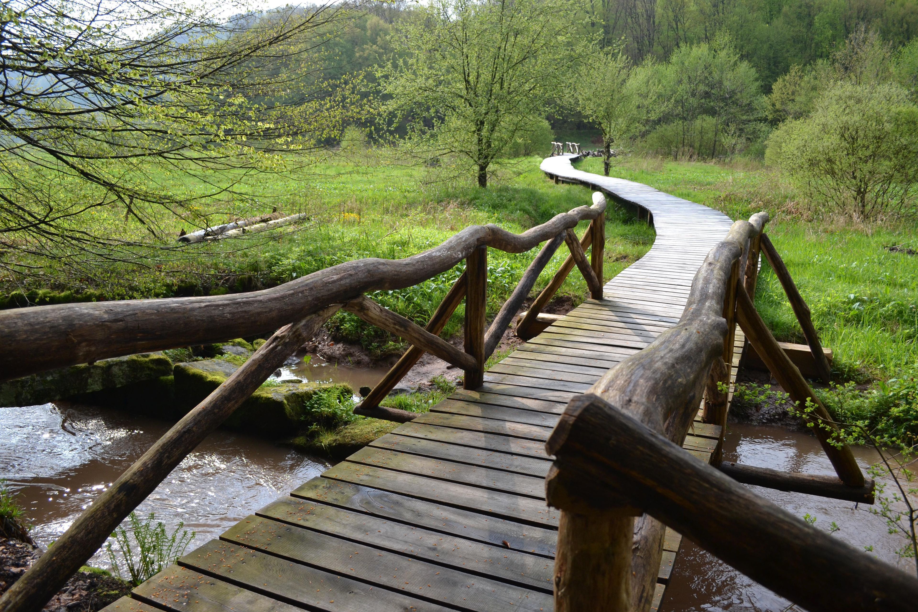 A wooden boardwalk over a stream with a natural landscape in the background.