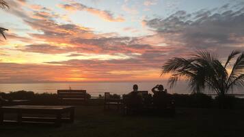 Plage à proximité, bar de plage