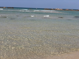 Playa