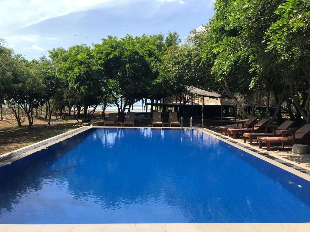 Udendørs pool, parasoller, liggestole