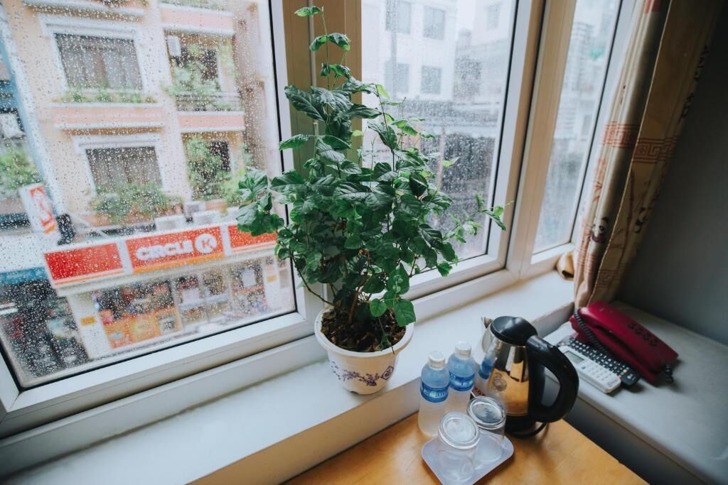 Standard Twin Room, 2 Bedrooms | View from room