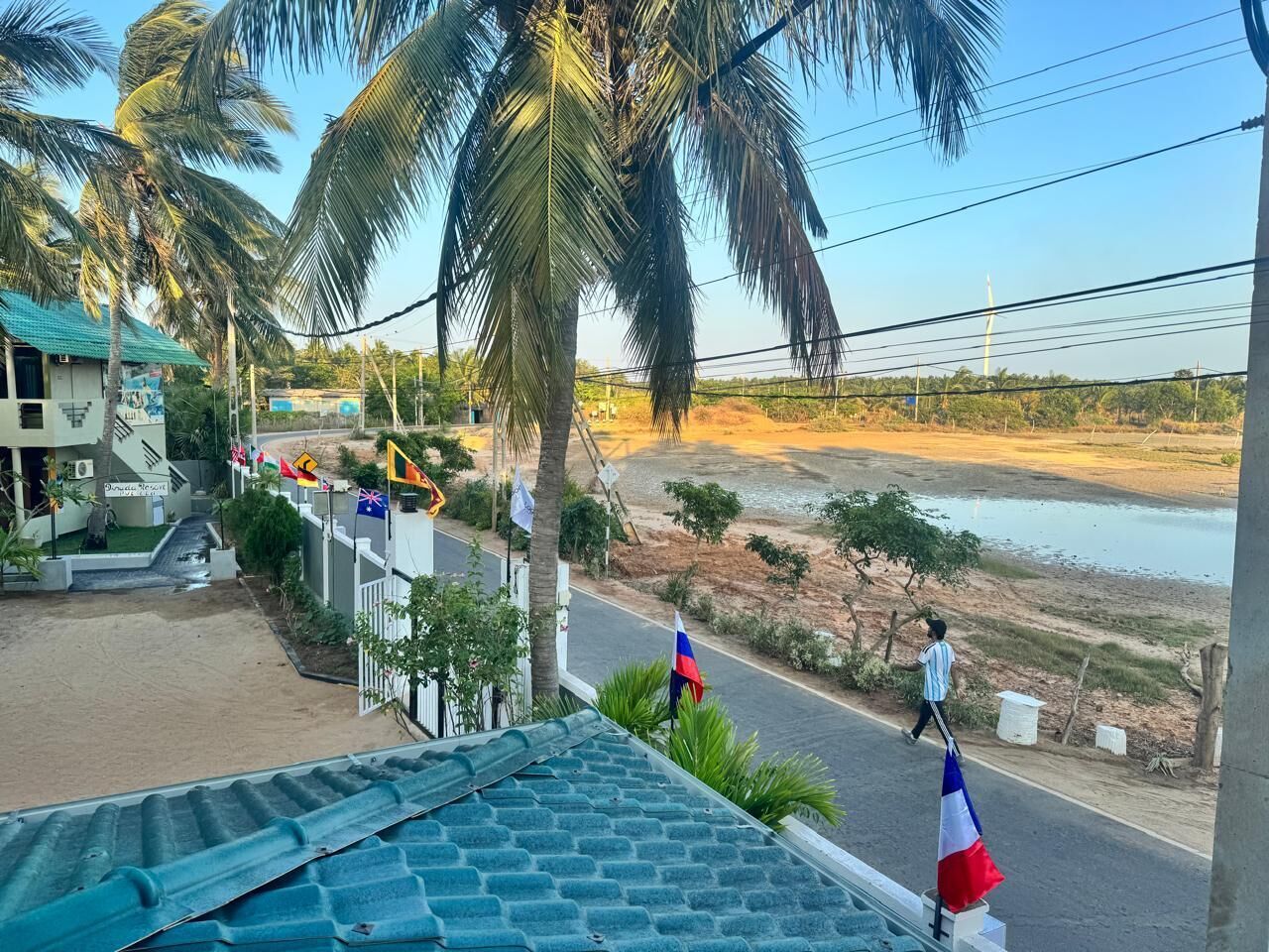 Une vue depuis un balcon donnant sur une route bordée de palmiers, une rivière et un bâtiment avec un toit bleu.