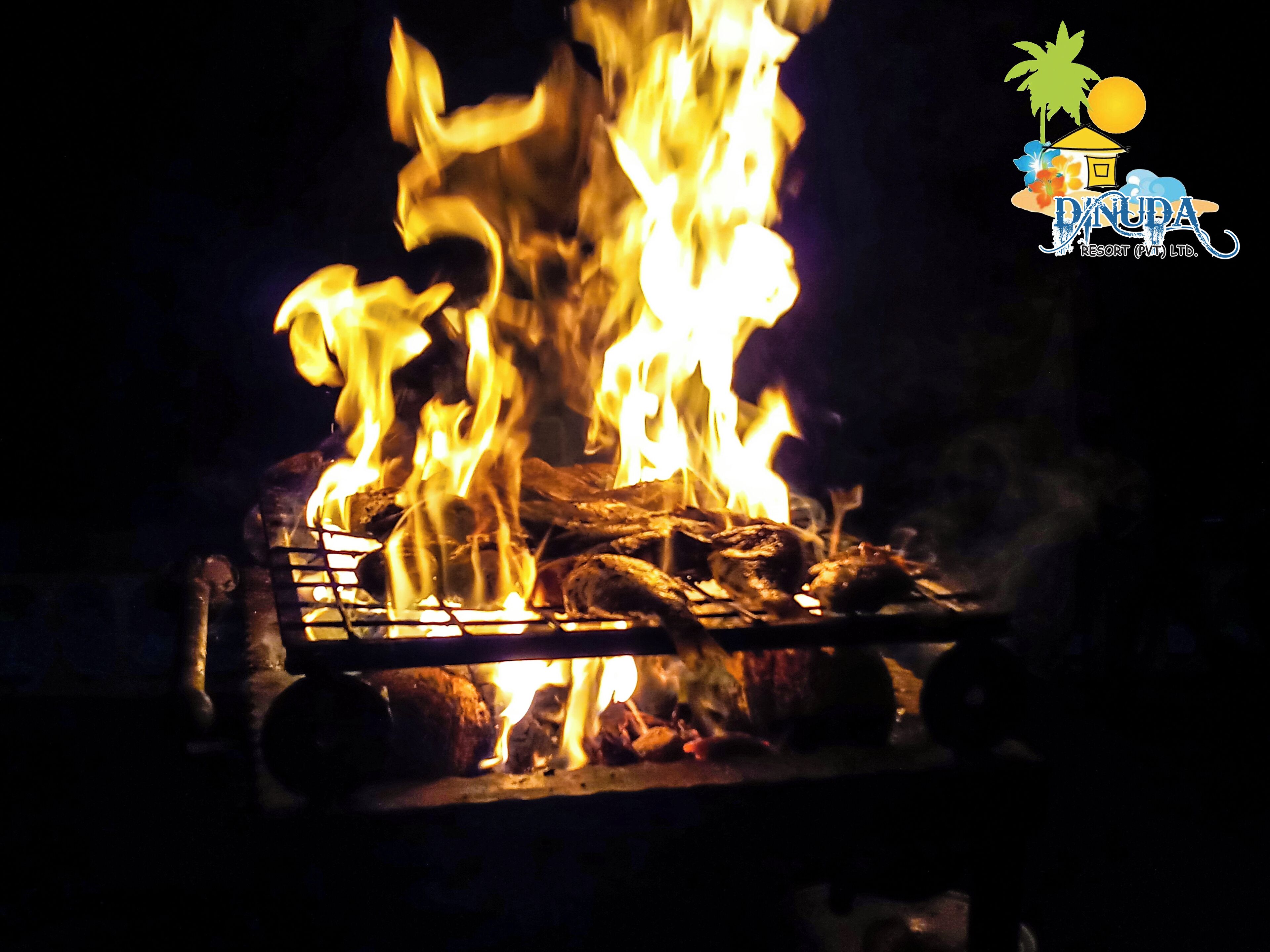 A campfire with logs and a grill, surrounded by a dark environment.
