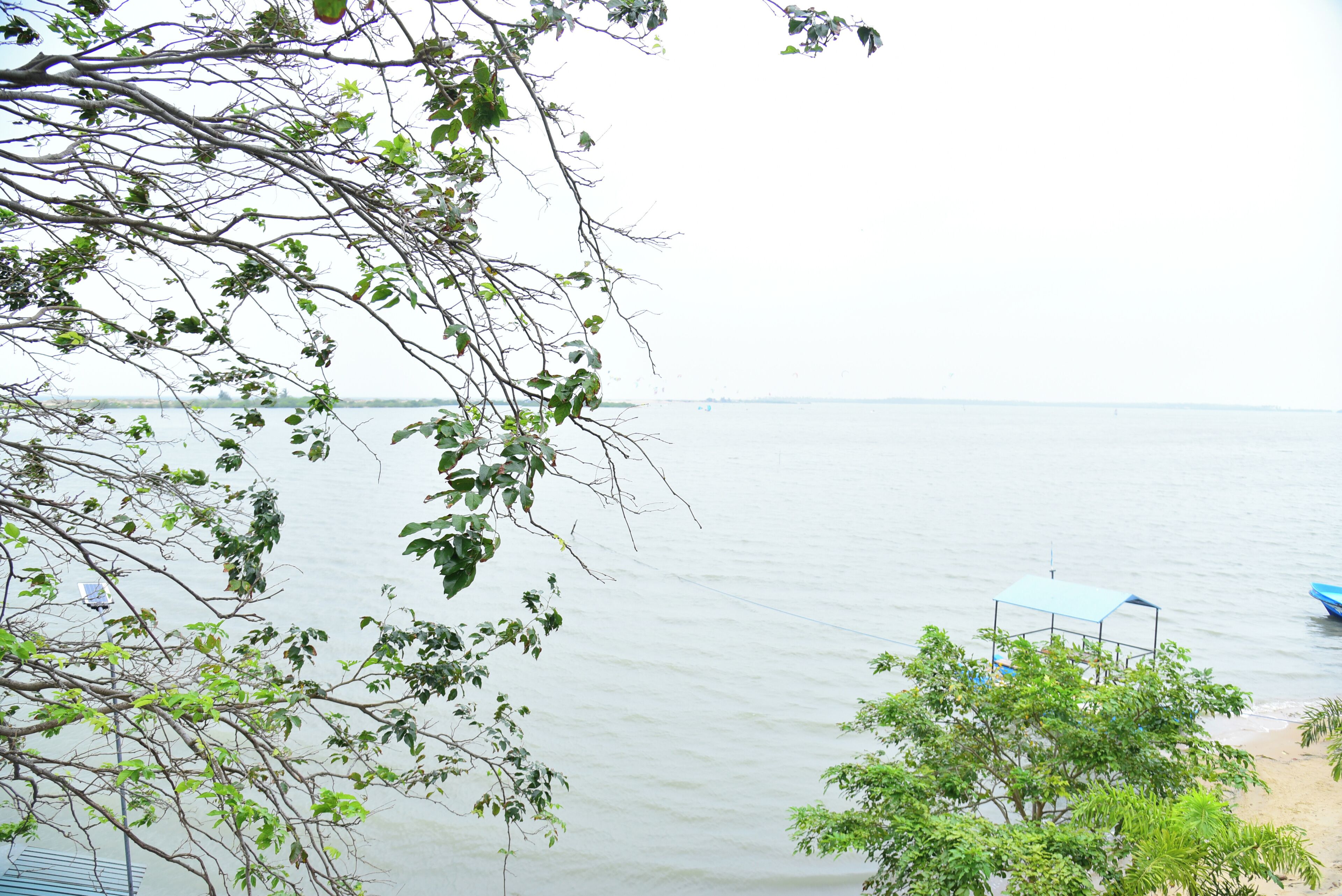 A view of a body of water with a dock and a covered structure.
