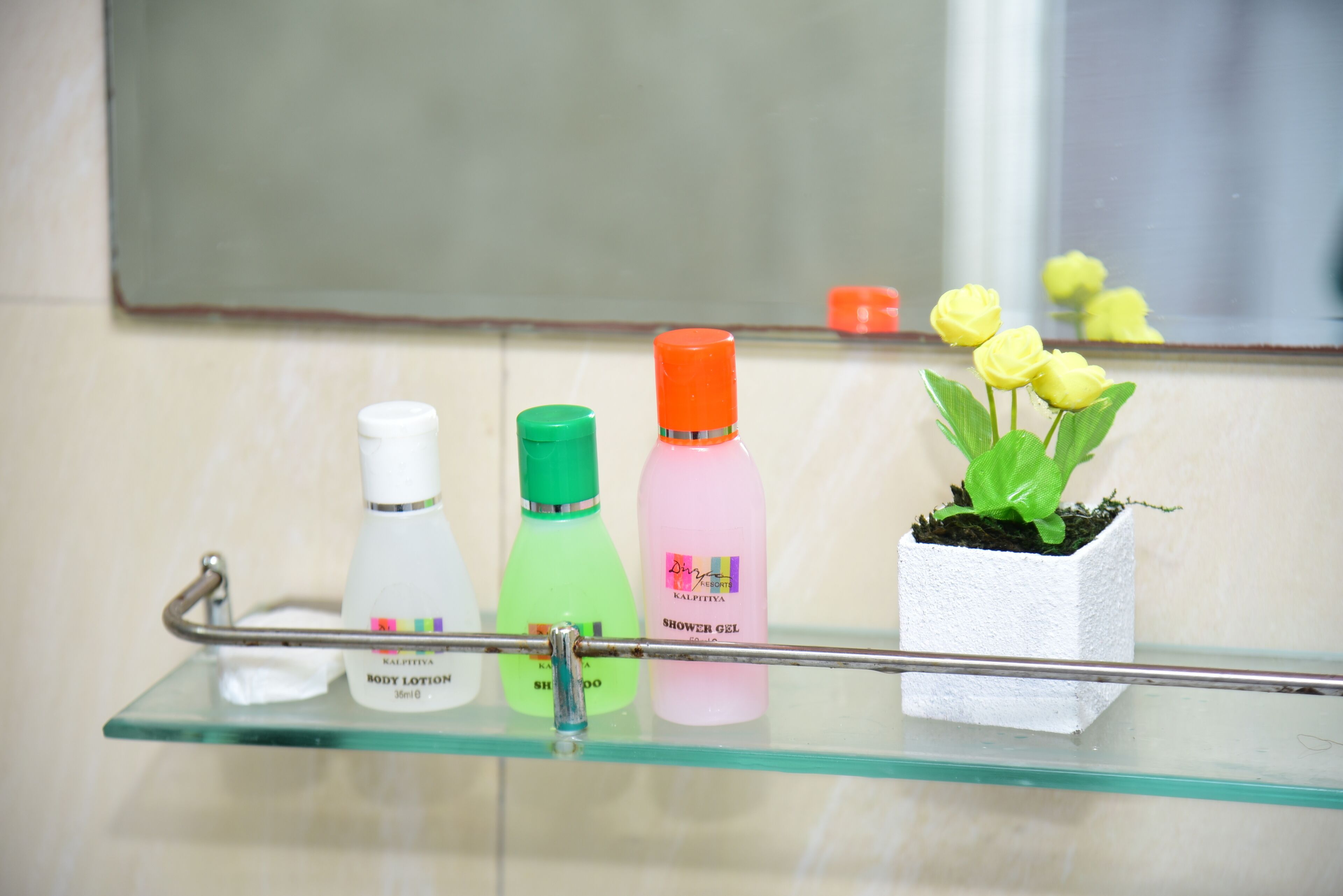Un estante de baño con tres botellas de artículos de aseo y una pequeña planta en maceta.