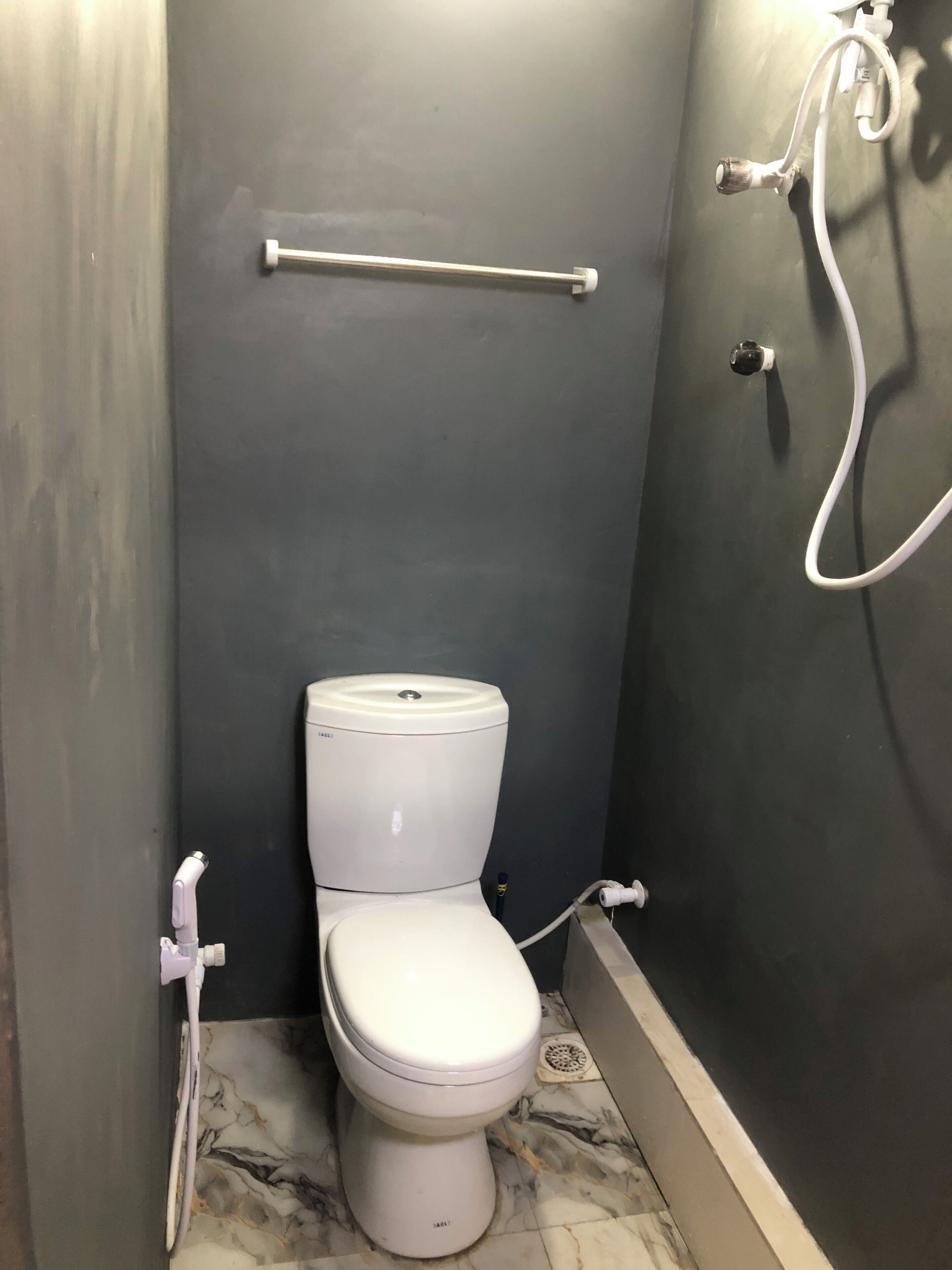 A bathroom with a toilet, a handrail, and a shower hose.