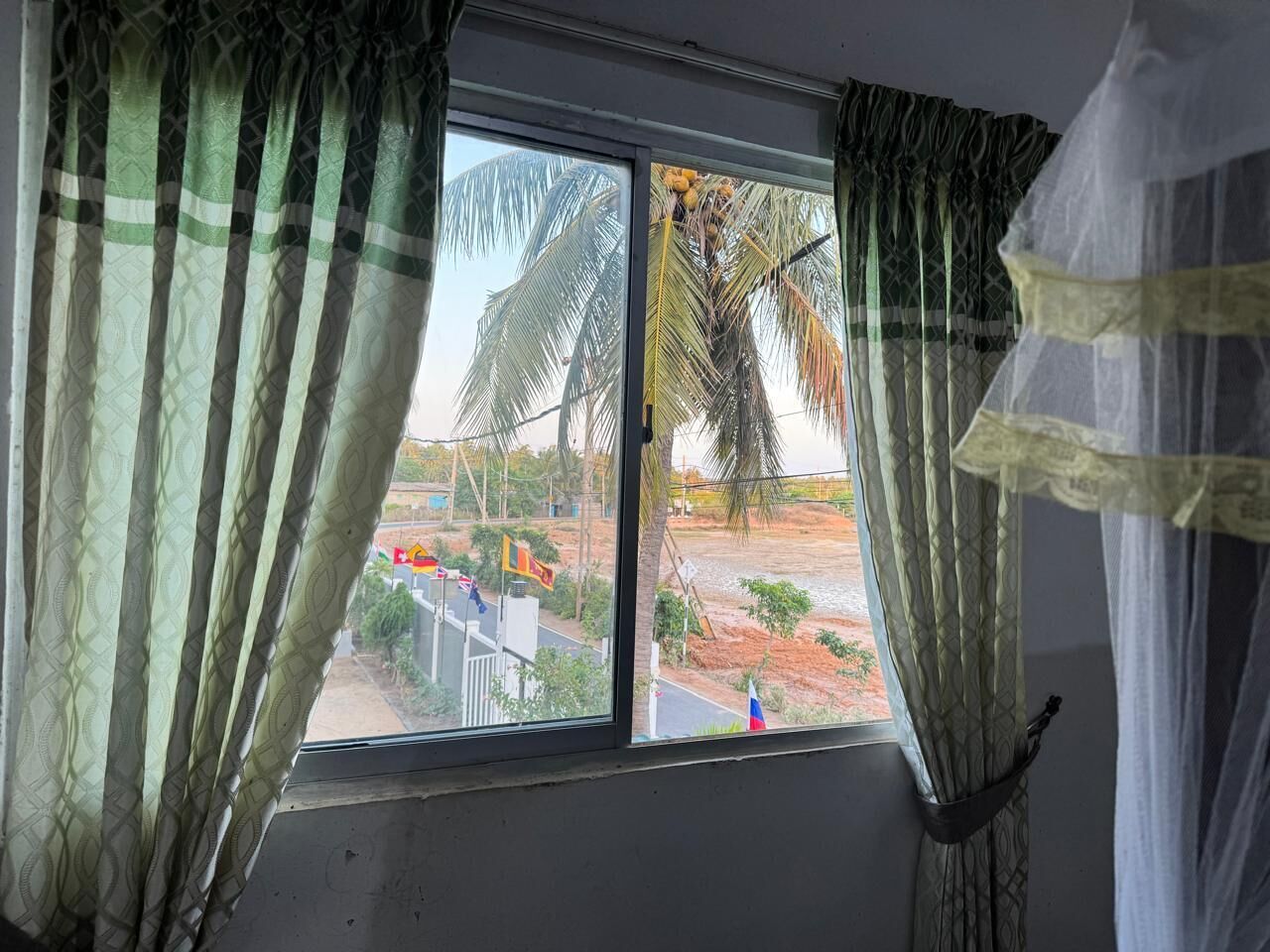 A window with curtains, a view of palm trees, and a flag.