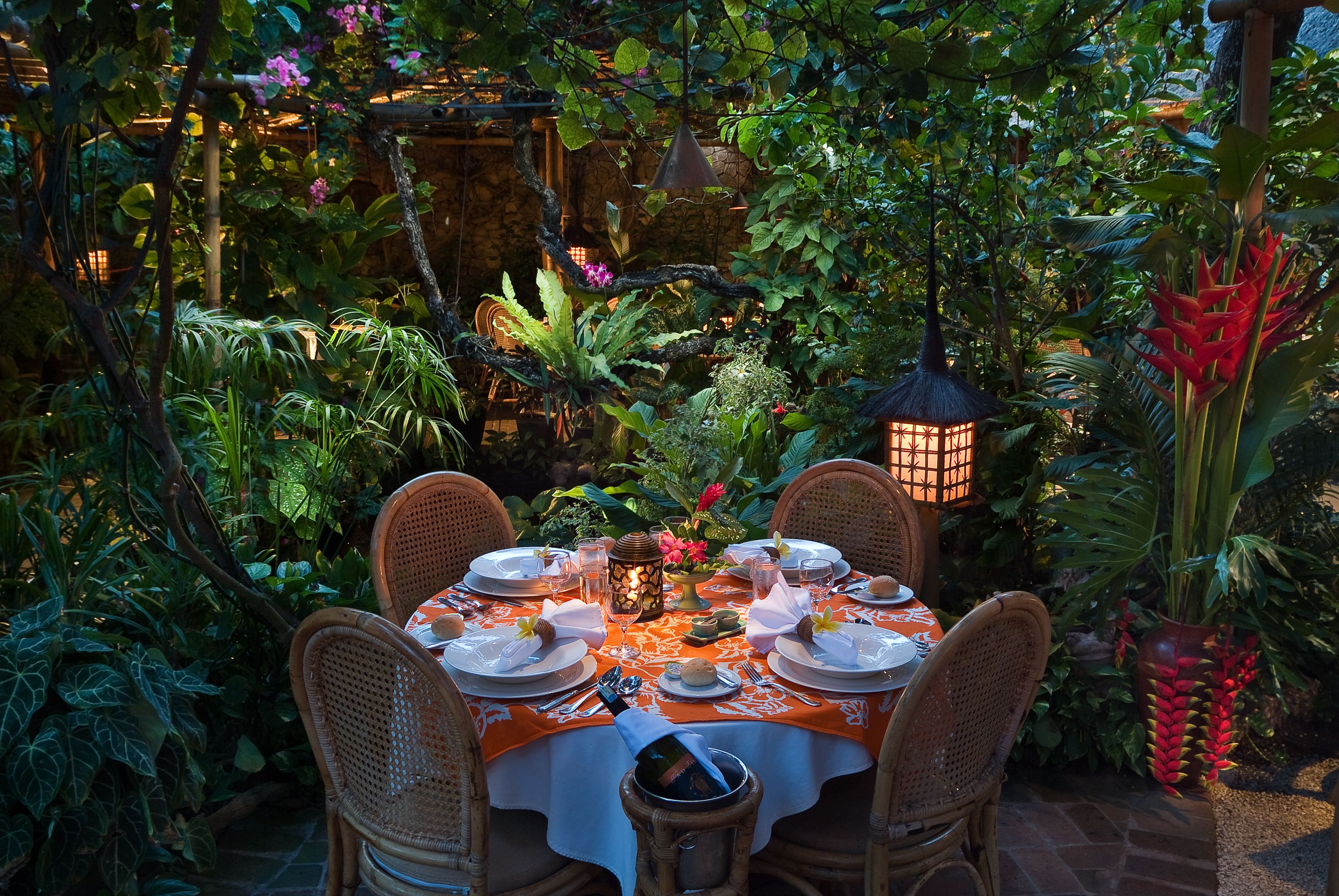 Photo - Poppies Bali