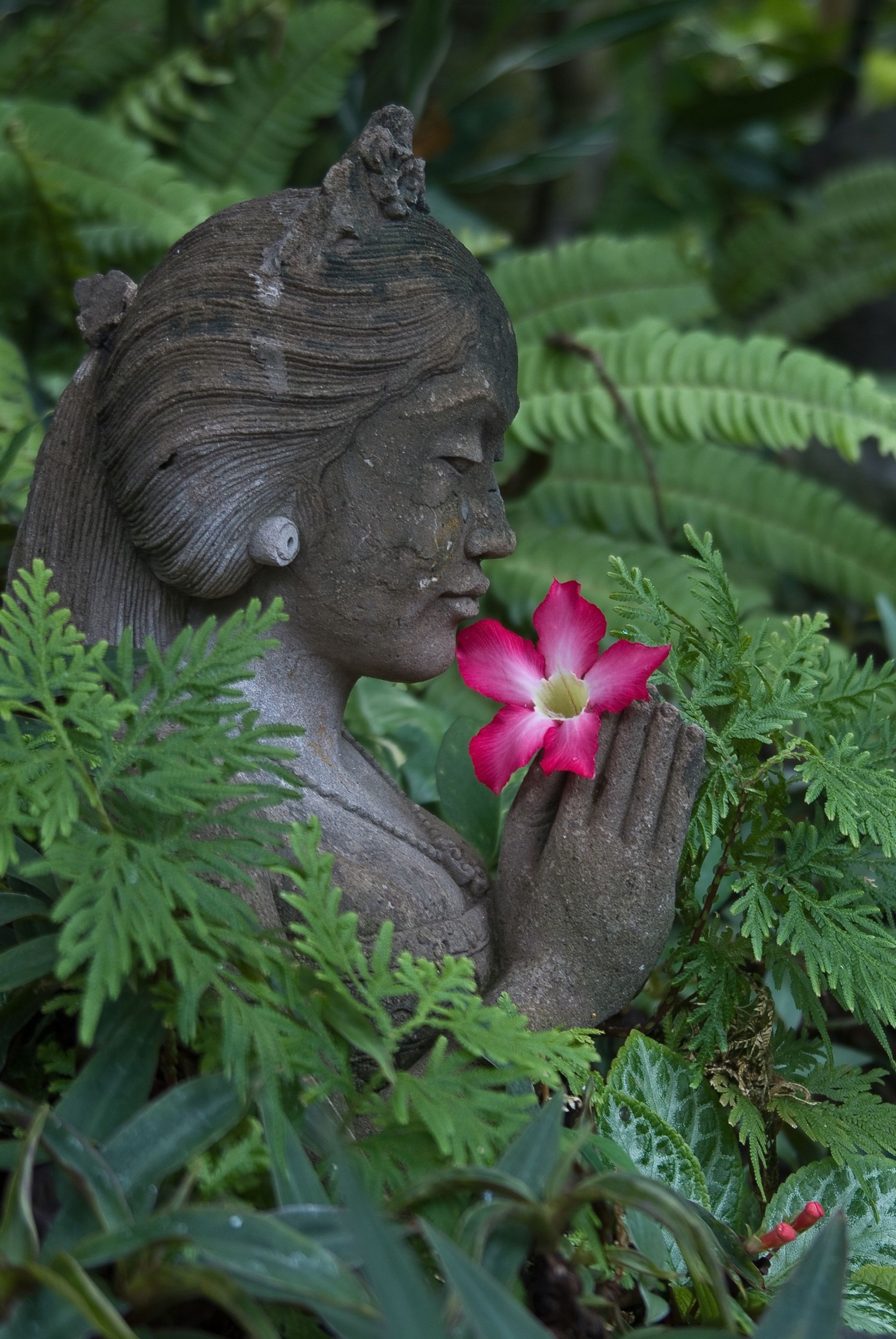 A statue of a woman with her hands together, surrounded by green foliage.