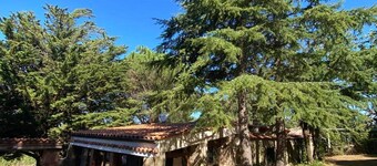 Agriturismo Bosco Pianetti