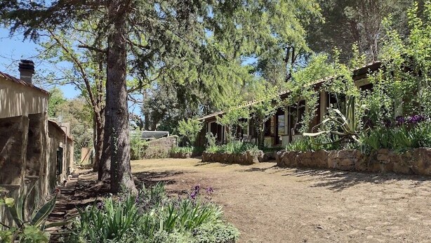 Un jardin rustique avec un chemin de terre, des murs en pierre et diverses plantes.