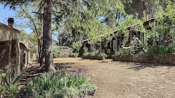 Double or Twin Room | Terrace/patio