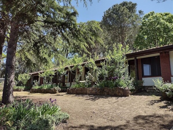Un edificio rústico con base de piedra y vigas de madera, rodeado de abundante vegetación y árboles.