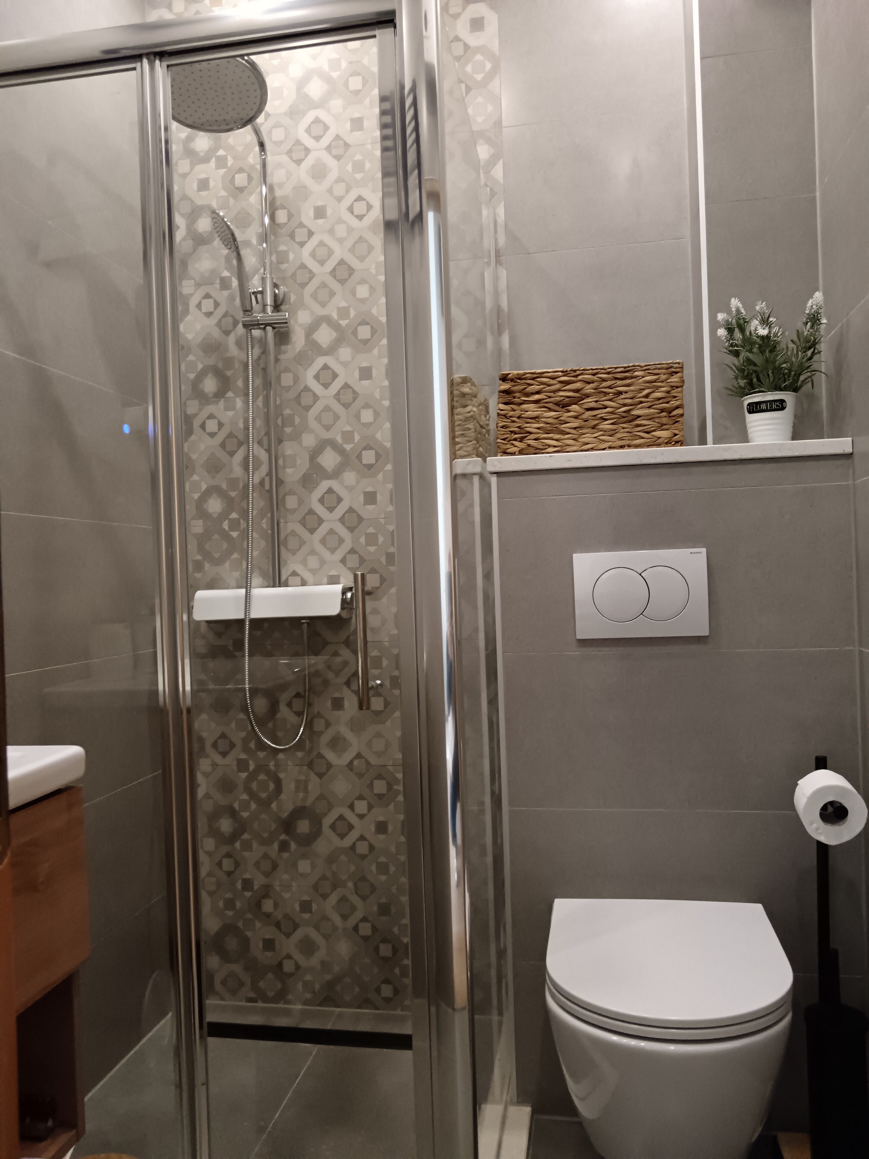 A modern bathroom with a glass-enclosed shower, a toilet, and a small shelf with a potted plant.