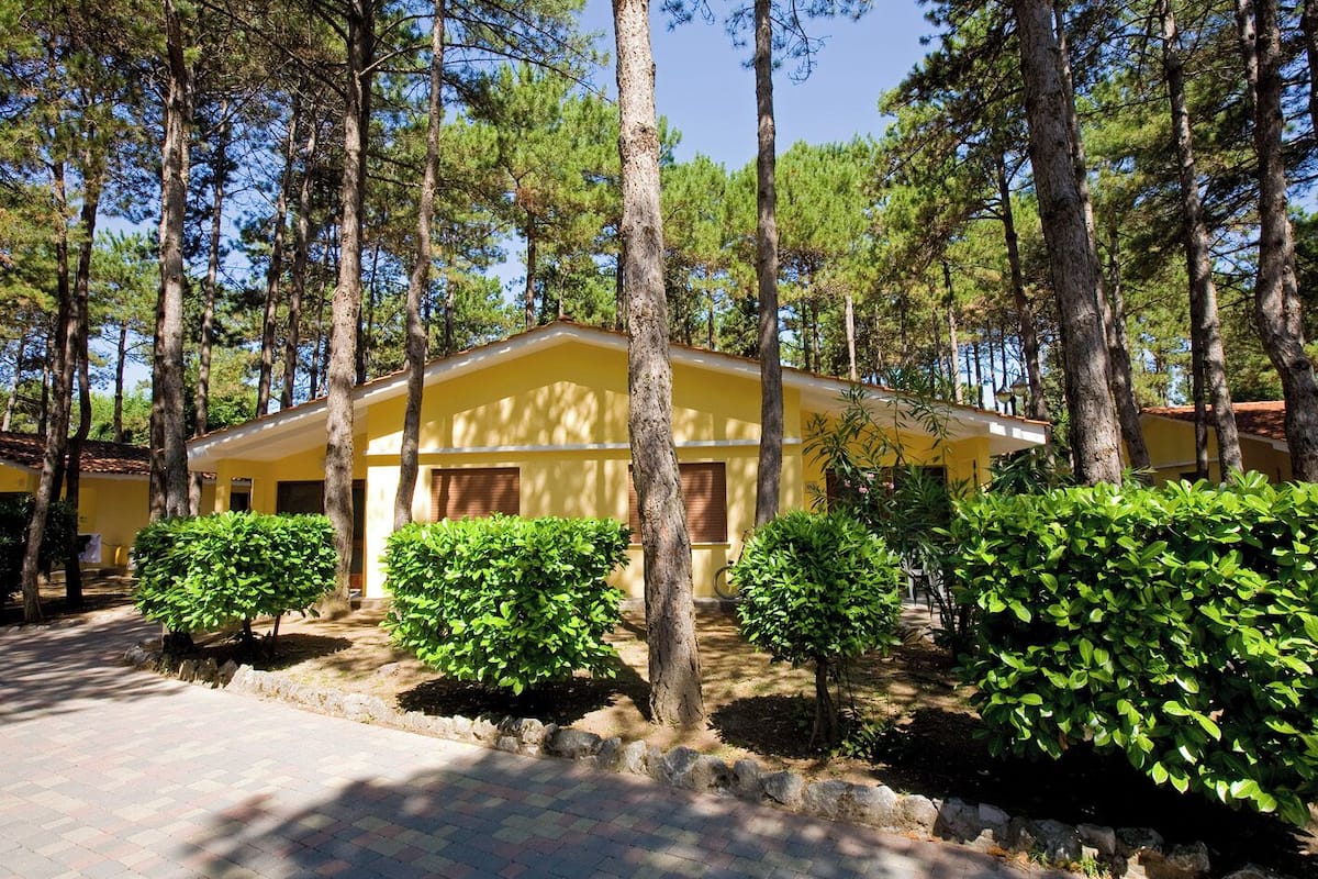 Un bâtiment jaune, entouré d’arbres et de verdure, avec une allée pavée qui y mène.