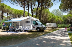 Avgiftsfri parkering