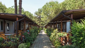 Un sentier bordé de chalets en bois dotés de balcons, entouré d’une végétation luxuriante et de pins.