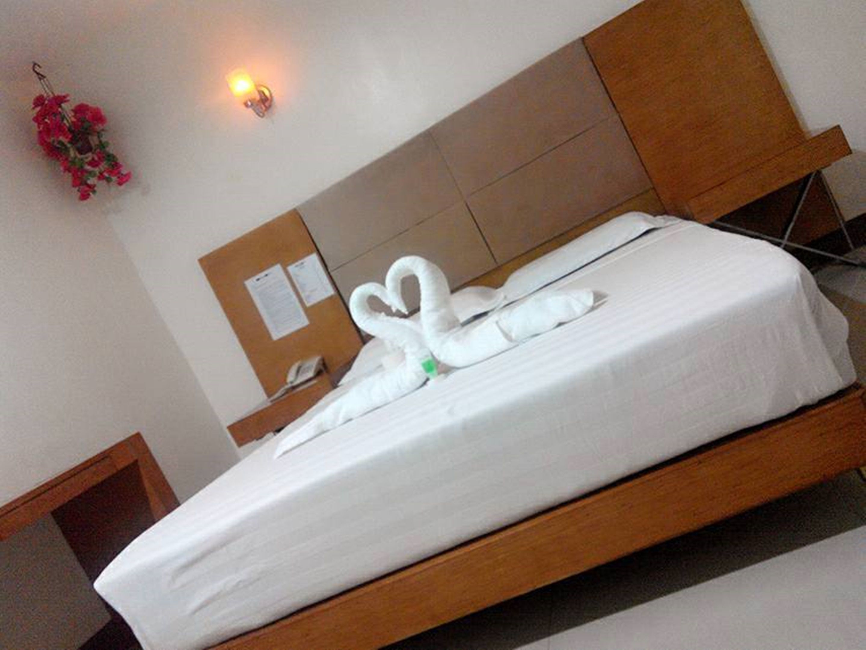 Photo - Asia Novo Boutique Hotel - Dumaguete