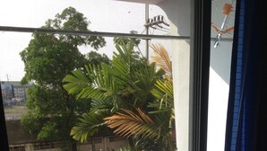 Vista a través de una ventana que muestra un suelo de baldosas azules, barandilla de balcón y follaje con edificios al exterior.