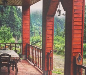 Garden view