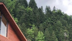 Una cabaña de madera con balcón, rodeada de un bosque denso y con una montaña al fondo.
