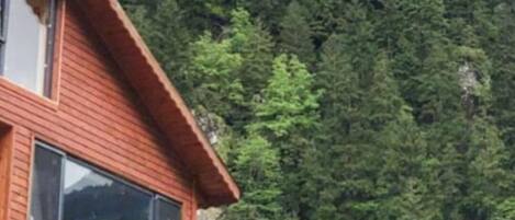 A wooden cabin with a balcony, surrounded by dense forest and a mountain backdrop.