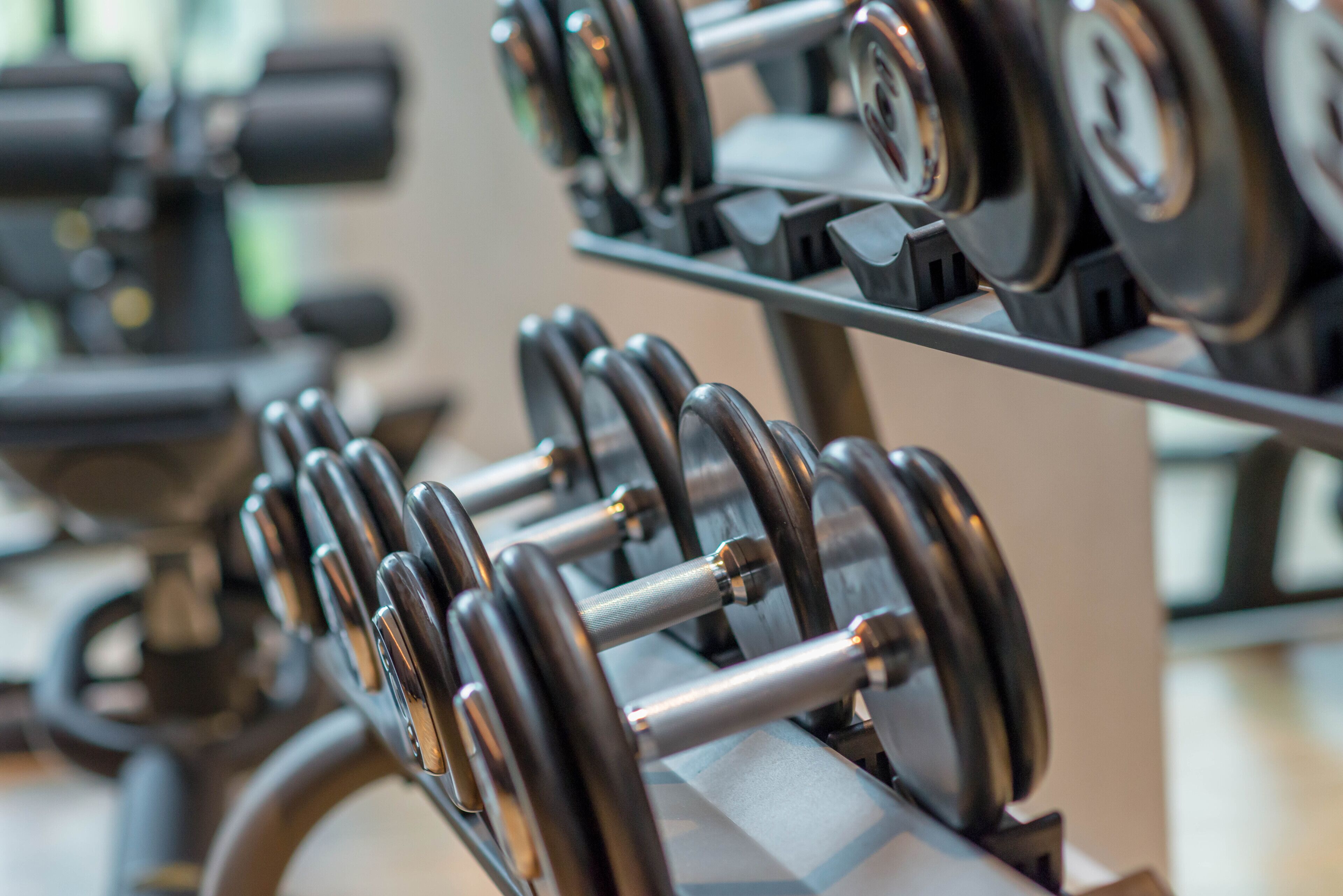 A rack of dumbbells in a gym.